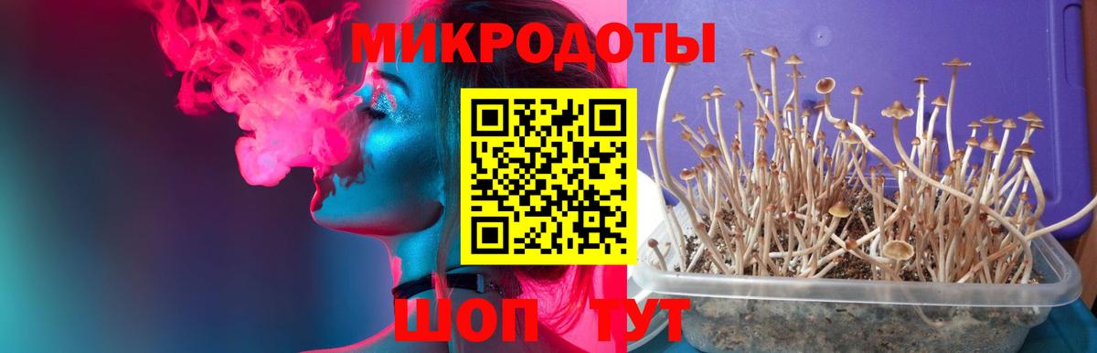 Марихуана Сибай
